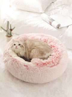 2-in1-pet-bed