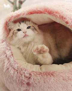 2-in1-pet-bed