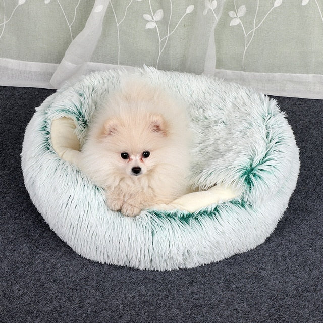 2-in1-pet-bed