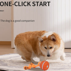 interactive-pet-rolling-ball-toy-usb-rechargeable